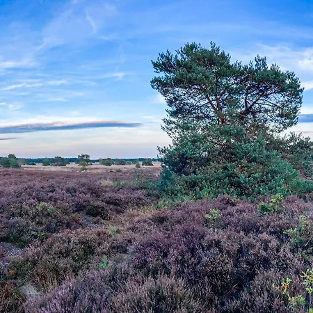 Awesome In With Wifi