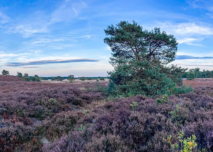 Awesome In With Wifi